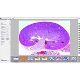 Euromex CMEX-1 digital 1.3 MP USB-2 CMOS Camera