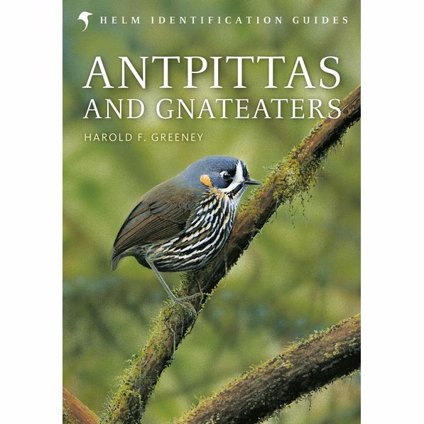 Antpittas and Gnateaters