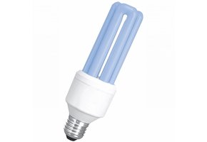 Sylvania UV-A Lampe für Mottenfalle