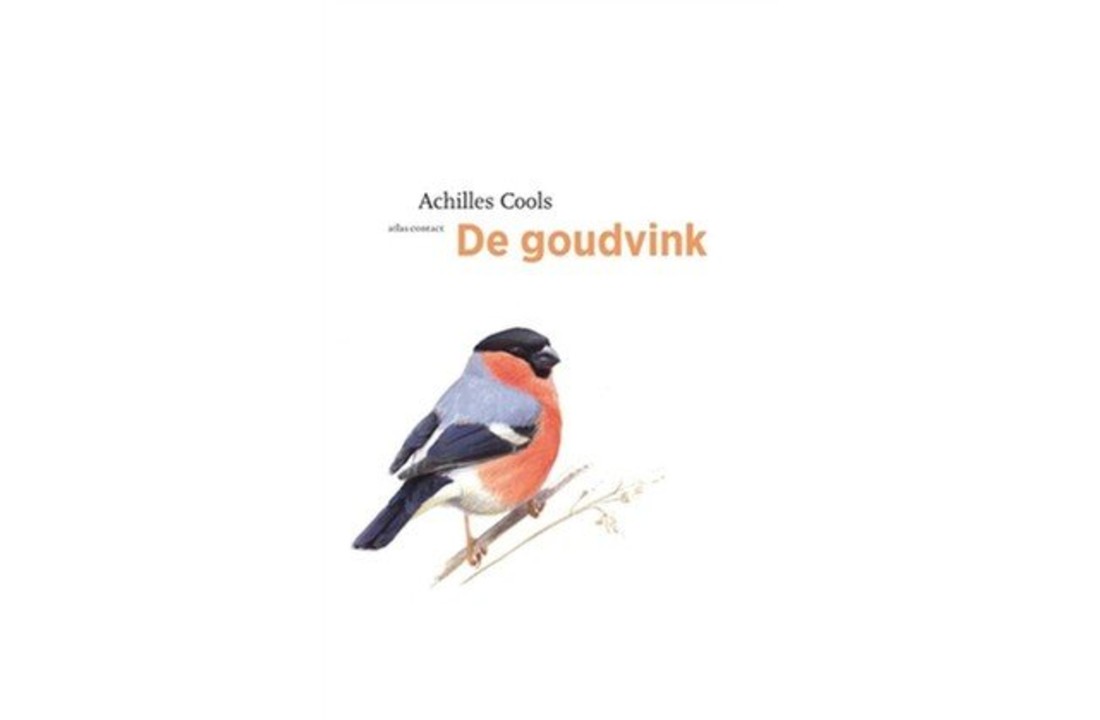 De Goudvink