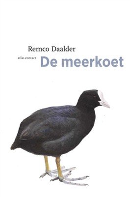 De Meerkoet