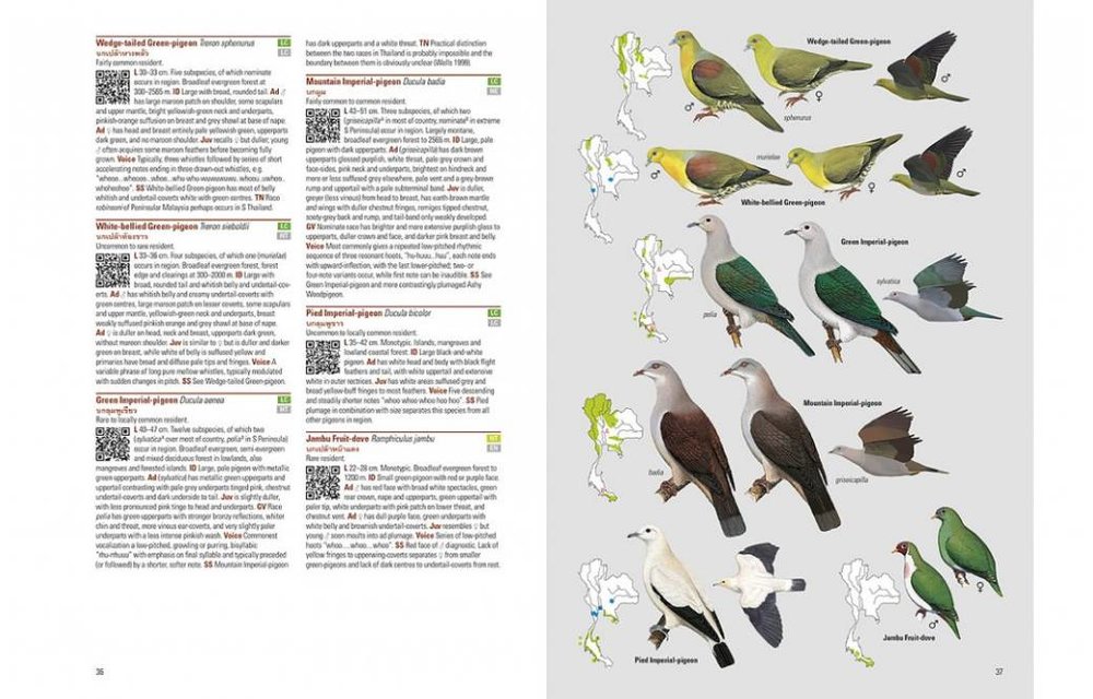 Birds of Thailand