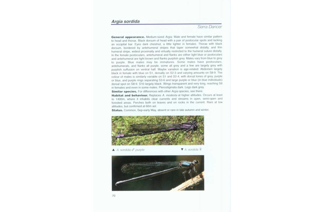 Dragonflies and Damselflies of the Serra dos Orgaos
