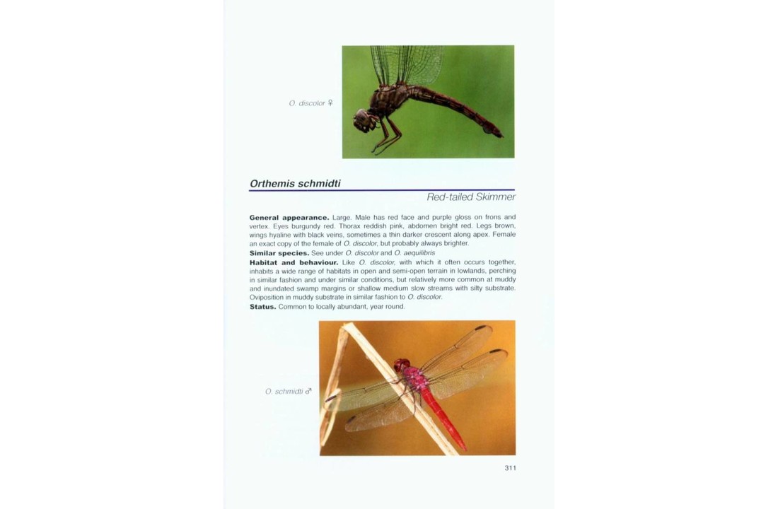 Dragonflies and Damselflies of the Serra dos Orgaos
