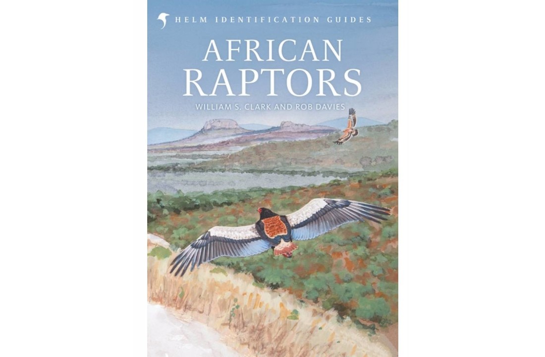 African Raptors