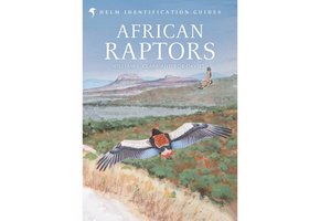African Raptors