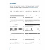 The Grasshoppers of Greece