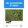 The Grasshoppers of Greece