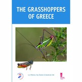 The Grasshoppers of Greece