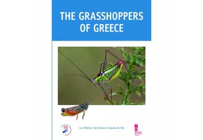 The Grasshoppers of Greece