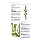 Botanisch Handboek Medicinale Planten