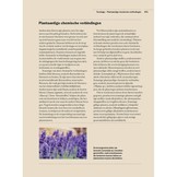 Botanische Handboek Medicinale Planten