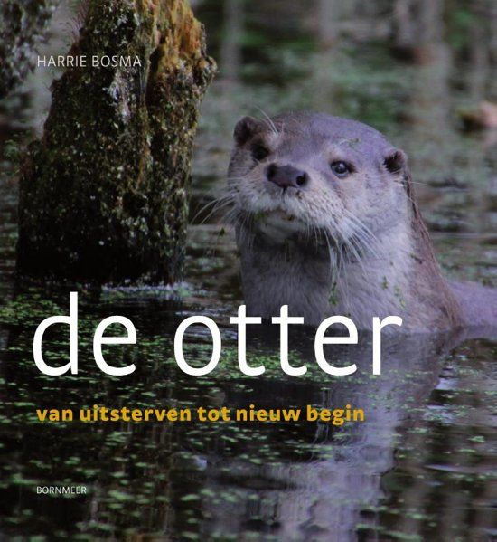 De Otter - van uitsterven tot nieuw begin