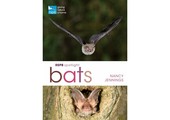 RSPB Spotlight Bats