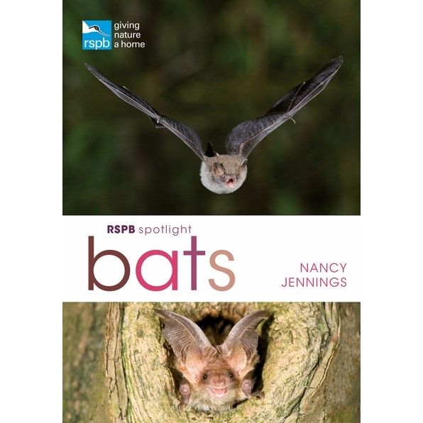 RSPB Spotlight Bats