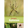 Basisgids Spinnen