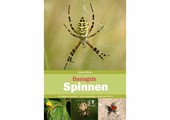 Basisgids Spinnen