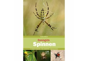 Basisgids Spinnen