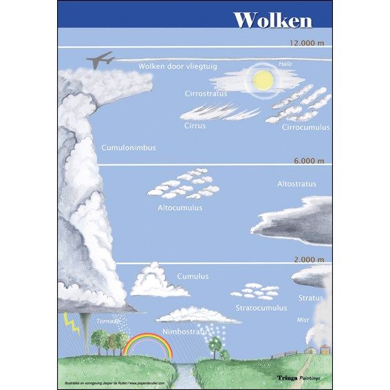 Identification Card  Clouds