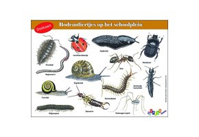 Doekaart  Bodemdiertjes op het schoolplein
