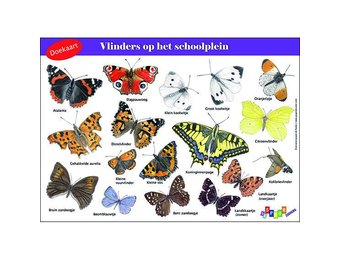 Doekaart Vlinders op het schoolplein