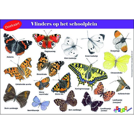 Doekaart Vlinders op het schoolplein