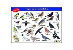 Doekaart Vogels op het schoolplein