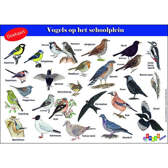 Doekaart Vogels op het schoolplein