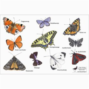 Lens Cloth Butterflies