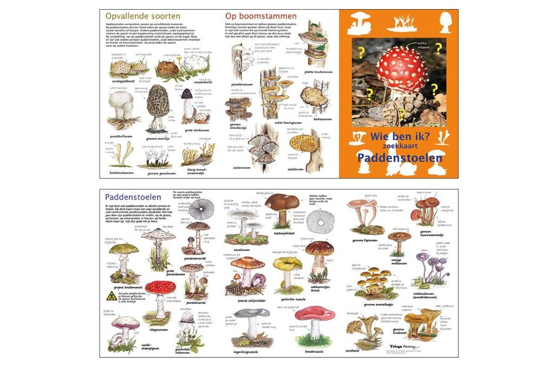 Search Map Mushrooms