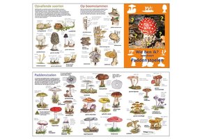 Zoekkaart Paddenstoelen