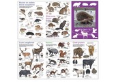 Zoekkaart Zoogdieren