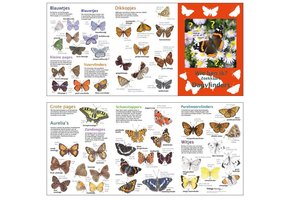 Zoekkaart Dagvlinders