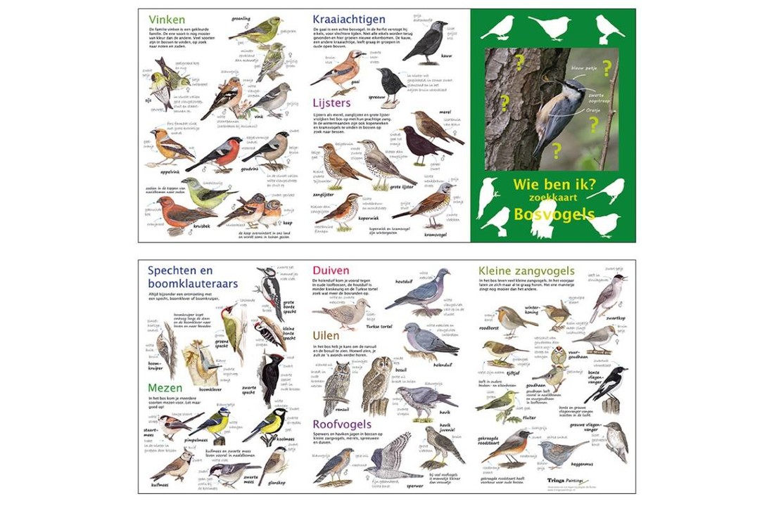 search map forest birds