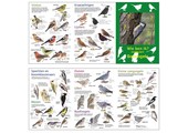 Zoekkaart Bosvogels