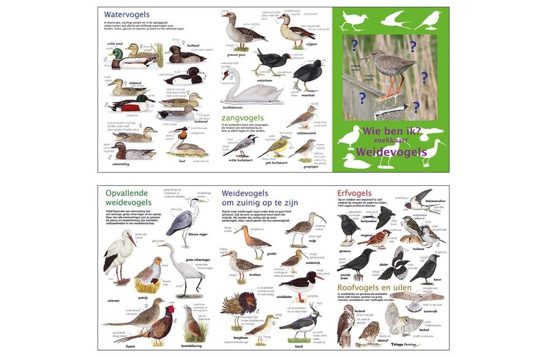 search map grassland birds