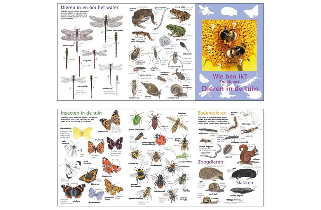 Search map animals in the garden