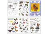 Zoekkaart Dieren in de tuin