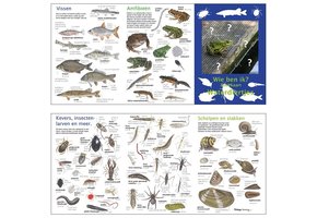 Zoekkaart Waterdiertjes