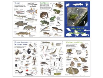 Zoekkaart Waterdiertjes