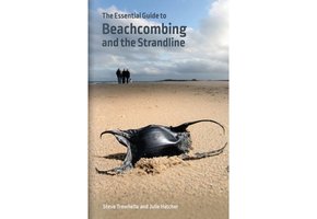 The Essential Guide to Beachcombing and the Strandline