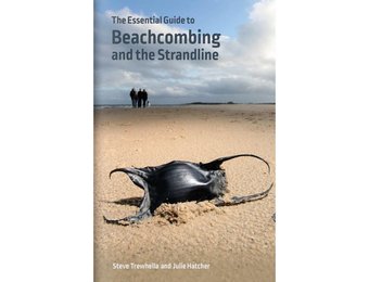 The Essential Guide to Beachcombing and the Strandline