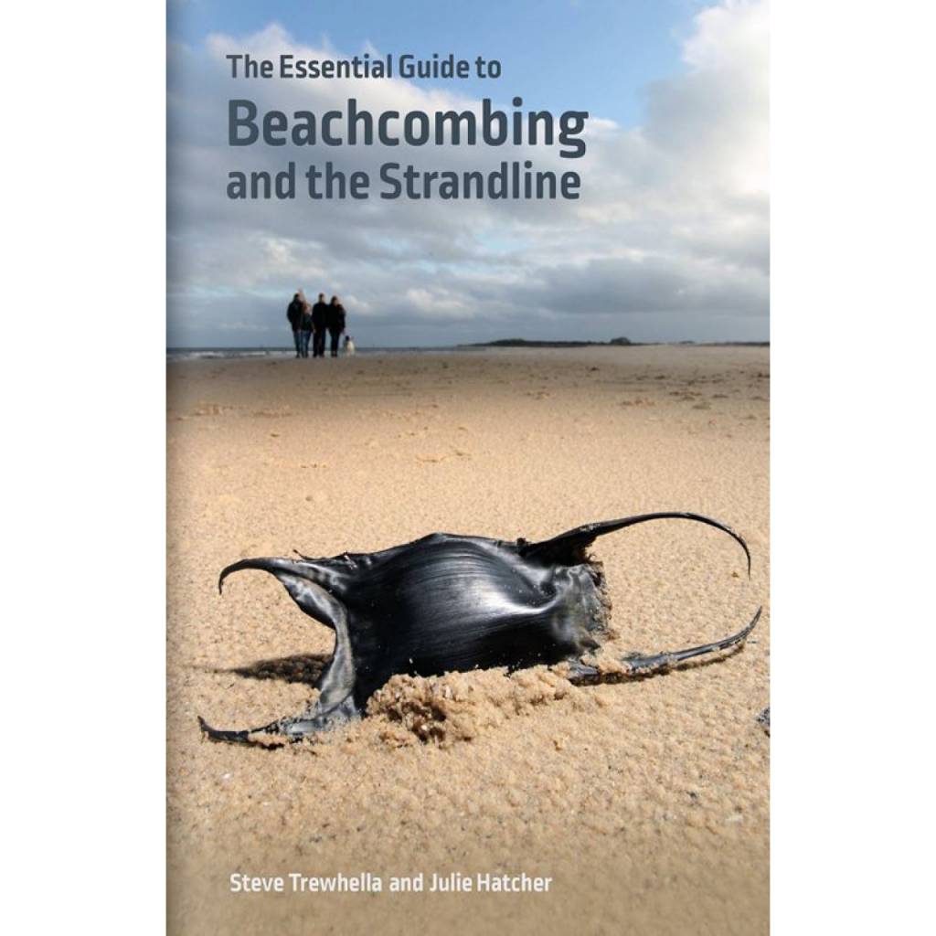 The Essential Guide to Beachcombing and the Strandline