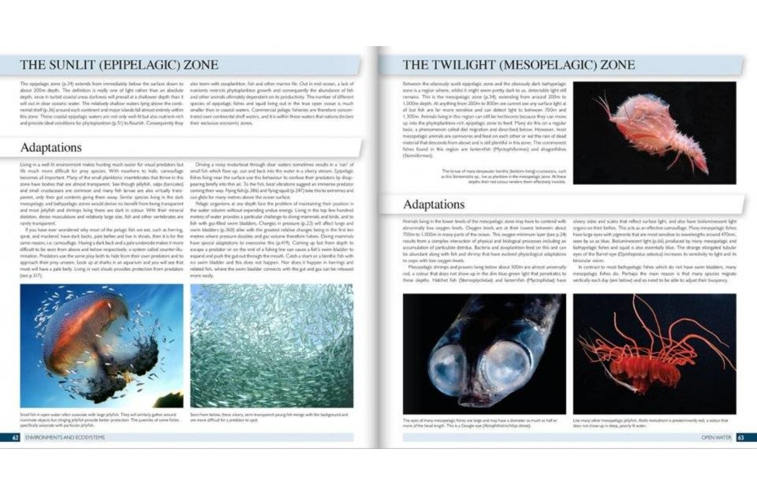 The Marine World: A Natural History of Ocean Life