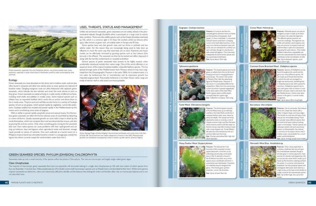 The Marine World: A Natural History of Ocean Life