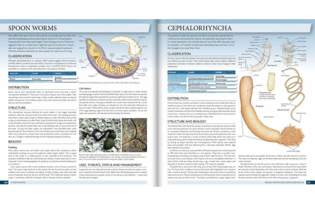 The Marine World: A Natural History of Ocean Life
