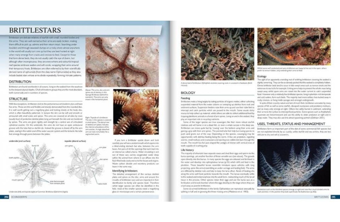 The Marine World: A Natural History of Ocean Life