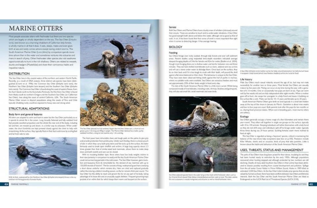The Marine World: A Natural History of Ocean Life