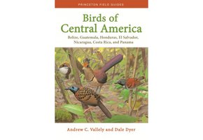 Birds of Central America