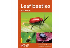 Leaf Beetles
